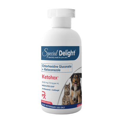 Special Delight Ketohex Medicated Shampoo (Chlorhexidine Gluconate + Ketoconazole) – 150 mL