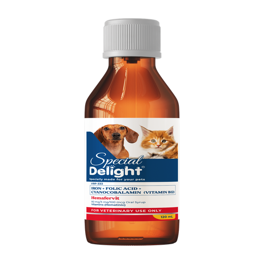 Special Delight Hemafervit Iron, Folic Acid & Vitamin B12 Supplement – 120 mL