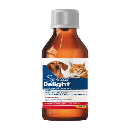 Special Delight Hemafervit Iron, Folic Acid & Vitamin B12 Supplement – 120 mL